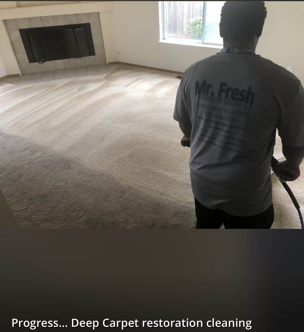 Rug & Upholstery Care